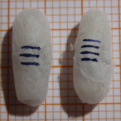 IMG 9173 kleiner.jpg