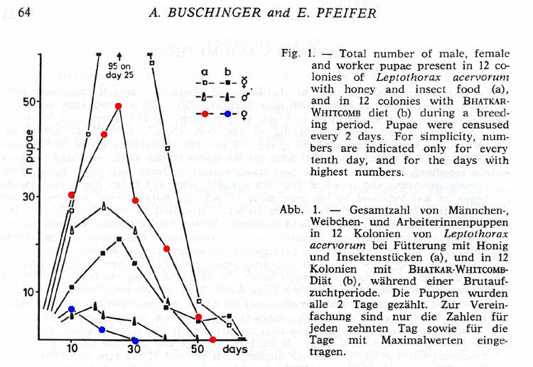 Bhatkar diet 1colweb.jpg