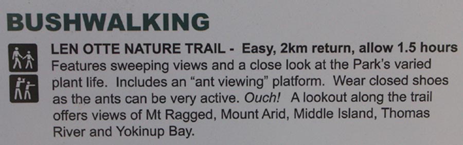 37 -73 Meat ants1 web.jpg