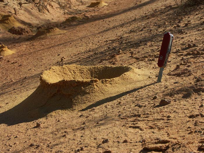 35- 036 Nesteingang web.jpg